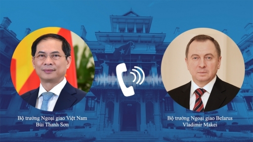 Việt Nam sẵn sàng đóng góp vào các hoạt động nhân đạo