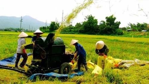 Cơ chế quản lý, tổ chức thực hiện các chương trình mục tiêu Quốc gia