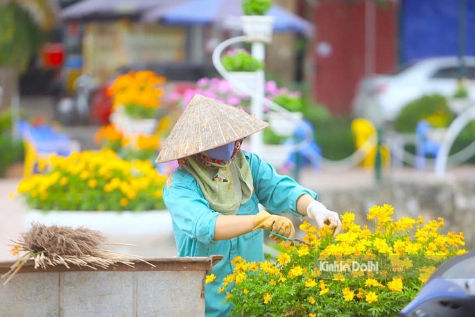 Các công nhân đang gấp rút lắp đặt chậu hoa tươi ở khu vực hồ điều hoà của tuyến phố đi bộ Trịnh Công Sơn.