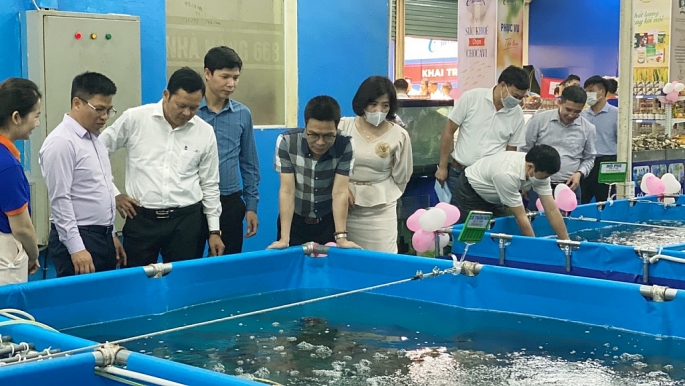 Ra mắt chuỗi thủy sản an toàn tại Hà Nội