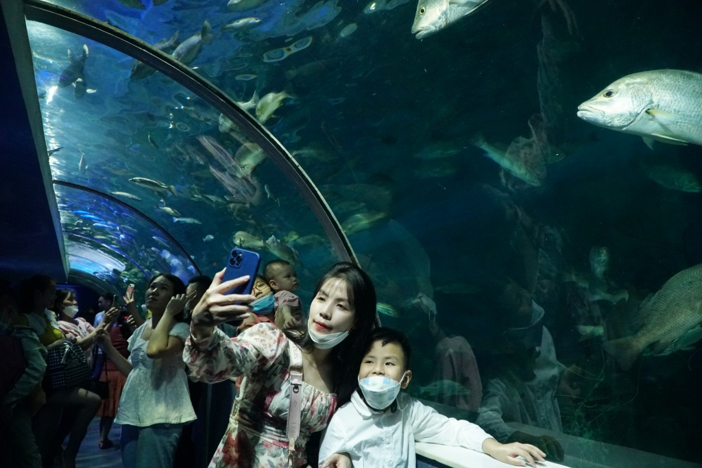 Trẻ em thích thú ngắm hàng nghìn sinh vật biển giữa lòng Thủ đô