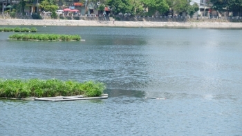 Nam thanh niên tử vong khi câu cá ở hồ Hoàng Cầu
