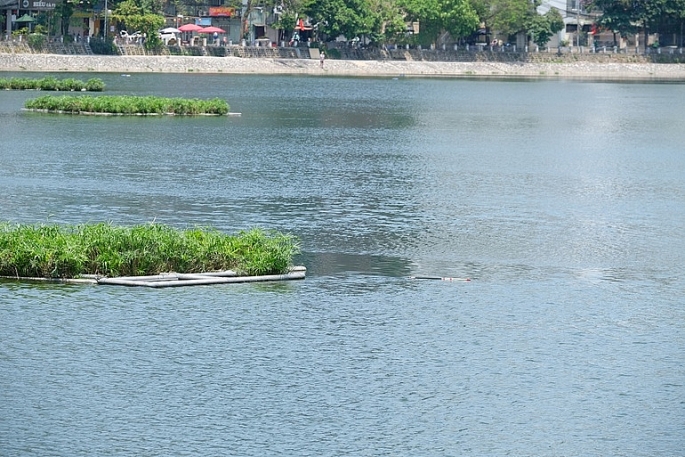 Hồ Hoàng Cầu nơi xảy ra sự việc