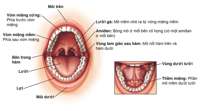 Dấu hiệu nhận biết ung thư khoang miệng