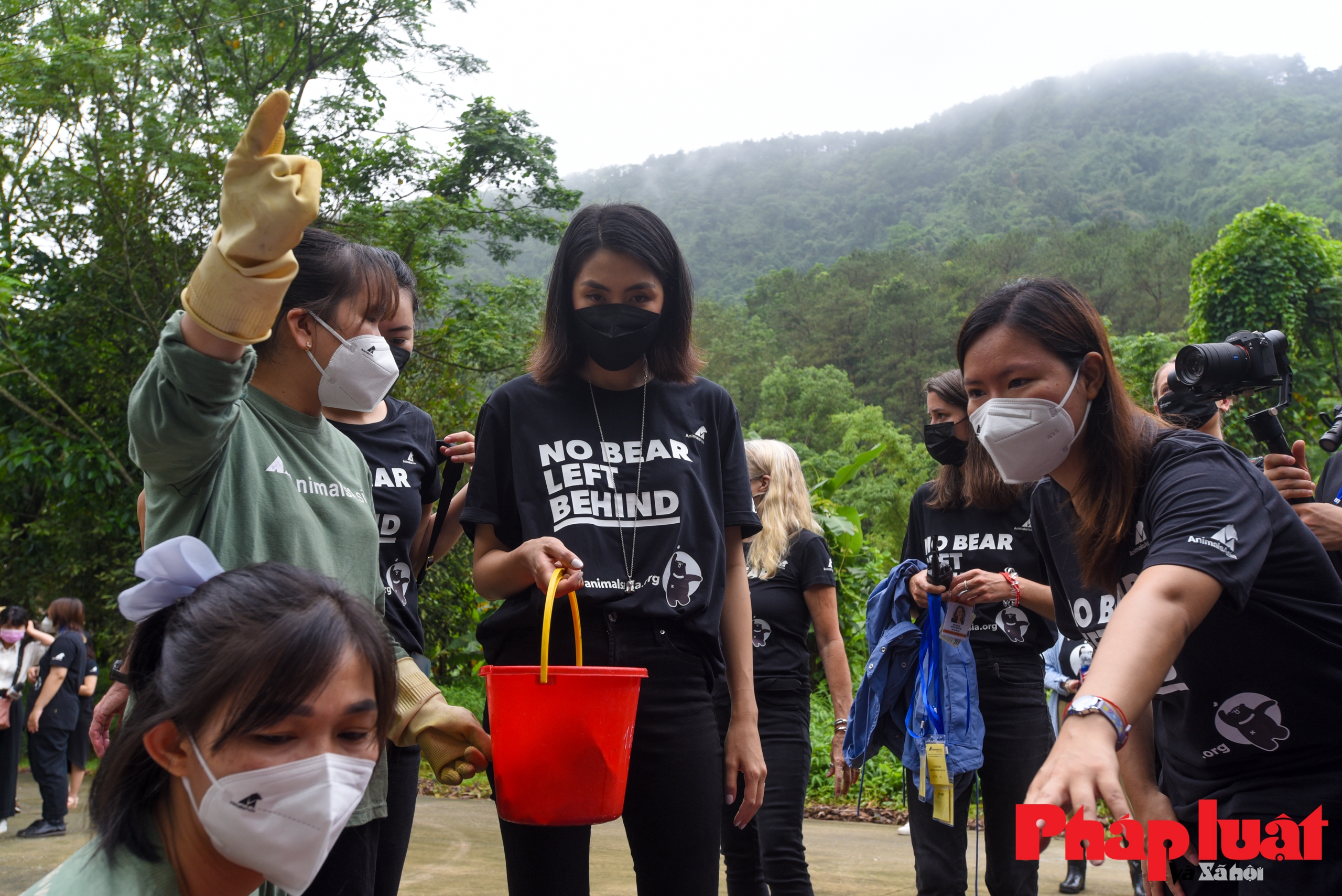 Tăng Thanh Hà cùng các sao Quốc tế tuyên truyền bảo vệ gấu tại Việt Nam
