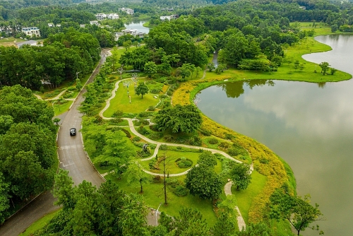 Soul of the Forest: Chuỗi đêm nhạc đỉnh cao giữa thiên nhiên Đại Lải