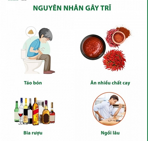 Thói quen hàng ngày làm tăng nguy cơ mắc bệnh trĩ