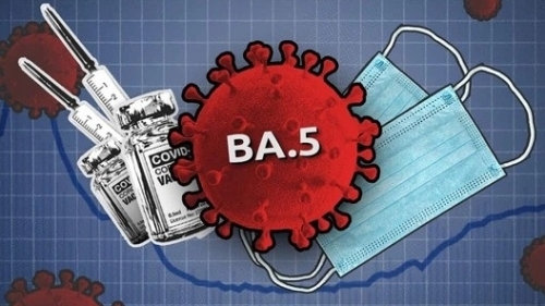Biến thể BA.5 có nguy cơ lấn át biến thể cũ của chủng Omicron