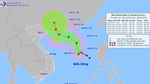 Áp thấp nhiệt đới trên Biển Đông mạnh lên thành bão số 1