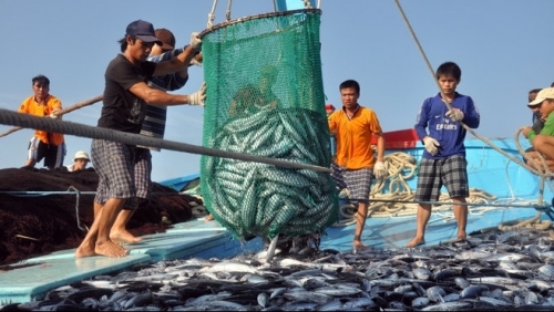 Hỗ trợ ngư dân bị ảnh hưởng do những tác động của giá xăng, dầu