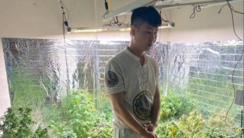 Nam thanh niên ở Cẩm Phả bán cần sa tự trồng tại nhà