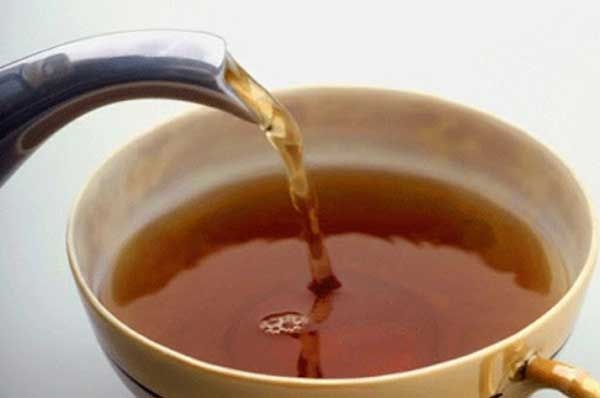 Uống cà gai leo hàng ngày có tốt không?