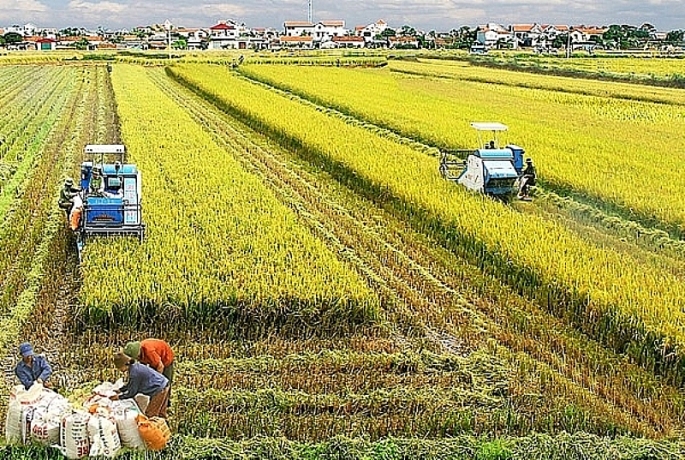 Nhằm từng bước cơ cấu lại ngành nông nghiệp và phát triển kinh tế nông thôn, nâng cao đời sống nông dân, TP Hà Nội đang tập trung phát triển cơ giới hóa, cơ giới hóa đồng bộ trong sản xuất nông nghiệp. Đây là hướng đi tất yếu cho một nền nông nghiệp tiên tiến, bền vững.