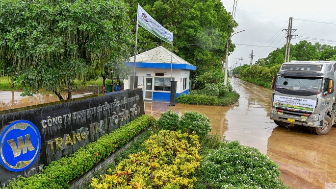  Thời tiết mát mẻ, mưa nhẹ làm dịu bớt khí hậu mùa hè miền Bắc đã tạo điều kiện thuận lợi cho việc vận chuyển đàn bò về trang trại 