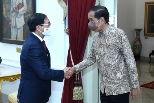 Bộ trưởng Ngoại giao Bùi Thanh Sơn tiếp kiến Tổng thống Indonesia