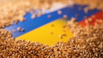 Ukraine chuẩn bị xuất khẩu trở lại ngũ cốc qua Biển Đen