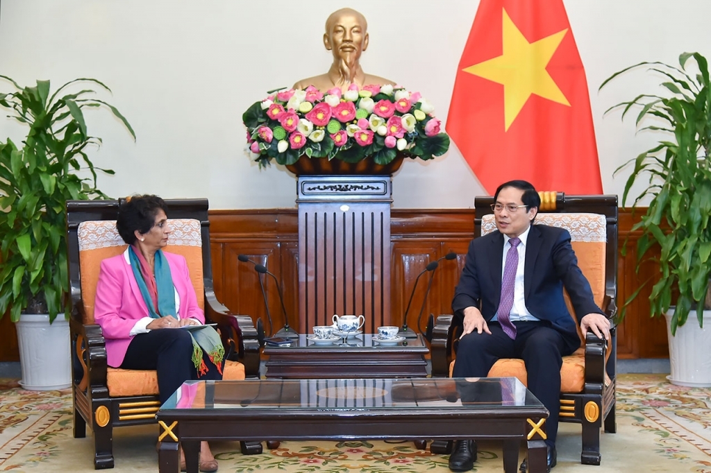 Bộ trưởng Ngoại giao Bùi Thanh Sơn tiếp Trợ lý Tổng thư ký Liên hợp quốc