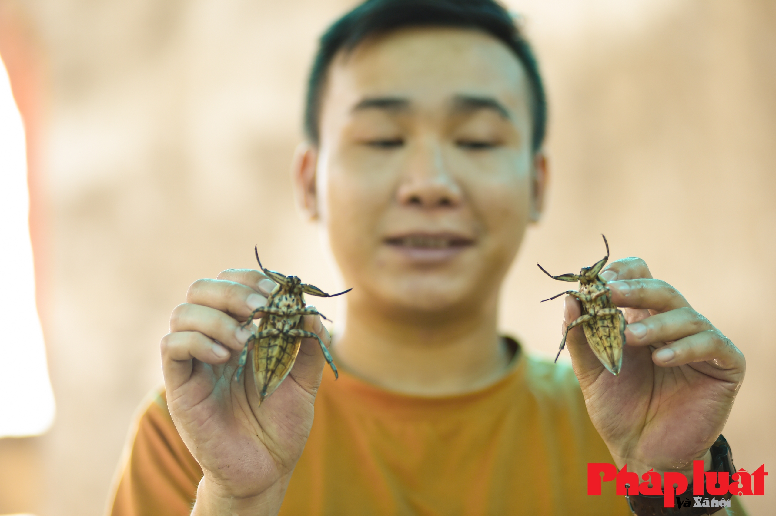 Anh Lê Thanh Tùng làm giàu từ mô hình nuôi côn trùng  Kinh nghiệm làm ăn   Báo ảnh Dân tộc và Miền núi