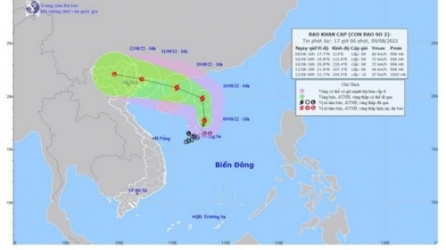 Hà Nội tổ chức trực ban 24h/24h ứng phó với cơn bão số 2