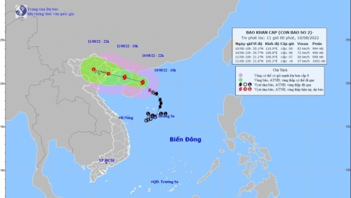 Hải Phòng khẩn trương ứng phó bão số 2