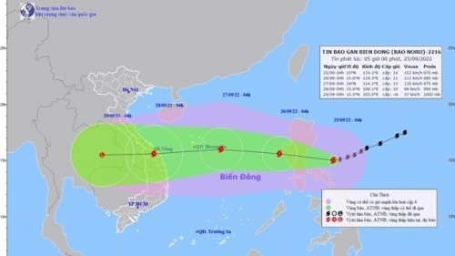 Thời tiết ngày 25/9: Bão Noru tiến vào biển Đông, Bắc Bộ có mưa rào và dông
