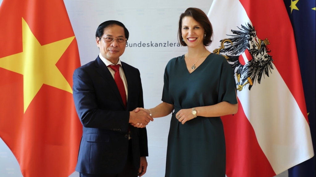 Bộ trưởng Ngoại giao Bùi Thanh Sơn thăm chính thức Áo