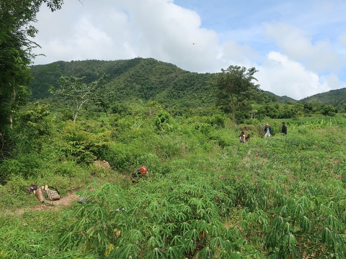 Hiện trường vụ việc. Hiện trường vụ việc.