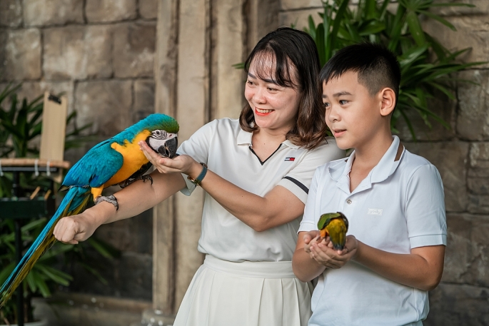 Show Vũ điệu chim trời lần đầu tiên có mặt ở Quảng Ninh