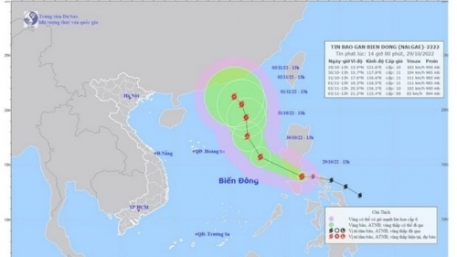 Chủ động ứng phó với bão Nalgae