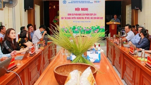 Hà Nội đánh giá, phân hạng sản phẩm OCOP lần 1 cho 47 sản phẩm dự thi năm 2022