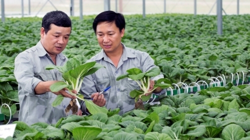 Hà Nội: Thu hút lao động chất lượng cao vào làm việc trong lĩnh vực nông nghiệp