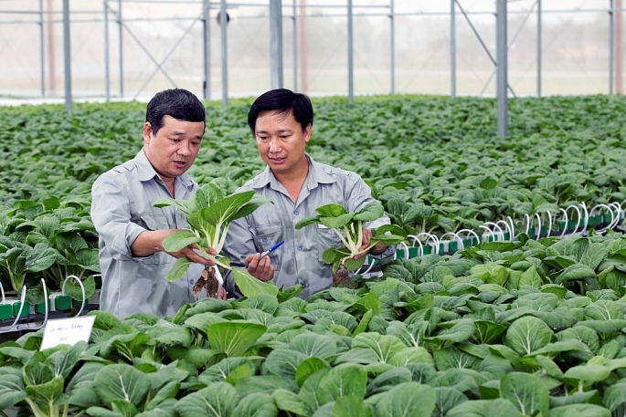 TP Hà Nội sẽ đẩy mạnh các chương trình đào tạo, tập huấn chuyên sâu thông qua hoạt động khuyến nông, bảo vệ thực vật… nhằm đào tạo nguồn nhân lực tại chỗ, thu hút lao động chất lượng cao vào làm việc trong lĩnh vực nông nghiệp.