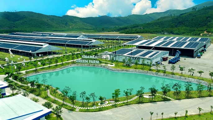 Trang trại sinh thái Vinamilk Green Farm được chăn nuôi mô hình nông nghiệp công nghệ cao vận hành theo kinh tế tuần hoàn khép kín