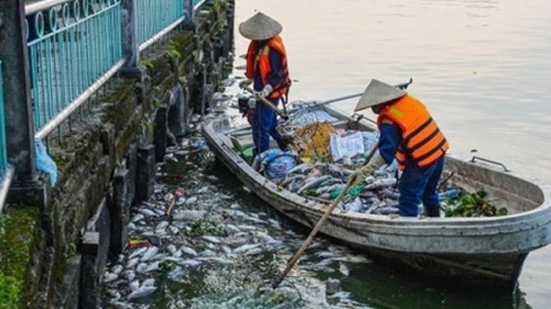 Giải pháp nào để không lặp lại tình trạng cá chết hàng loạt ở hồ Tây!?