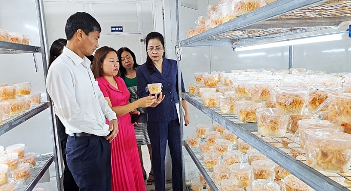 Đoàn công tác đã đến thăm và làm việc tại Cty CP Dược thảo Thiên Phúc, huyện Thanh Oai