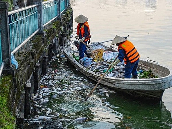 Xác cá nổi trắng ven hồ khiến người dân đi qua khó chịu vì cảnh tượng mất vệ sinh và mùi xác cá phân hủy rất ô nhiễm