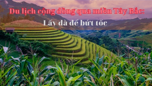 Bài 1: "Ngựa ô" của Tây Bắc