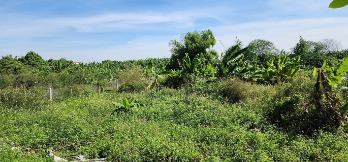 Dự án Khu nông nghiệp sinh thái ứng dụng công nghệ cao Hoa Lâm Viên hiện là khu đất trống
