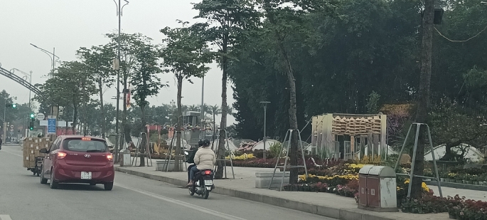 Điểm bán hoa dạo được bố trí tạm thời tại đường hoa nghệ thuật đường Hồ Tùng Mậu