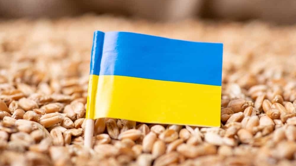 Ukraine đối mặt với khủng hoảng xuất khẩu ngũ cốc