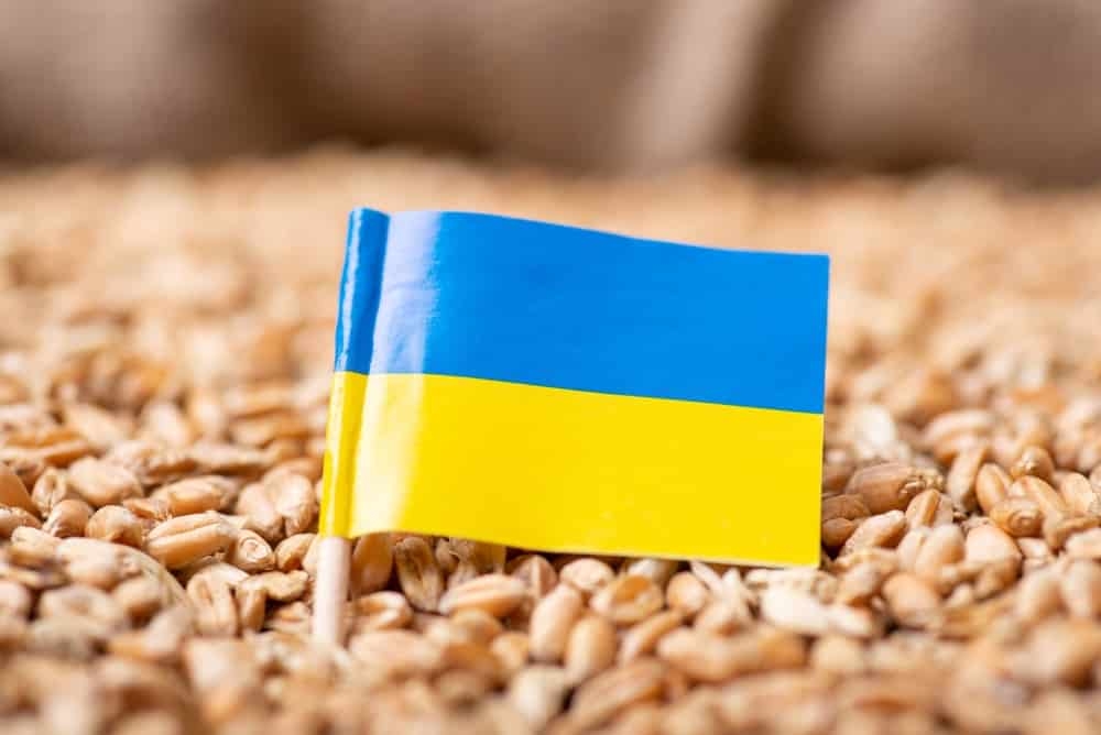 Ukraine đối mặt với khủng hoảng xuất khẩu ngũ cốc