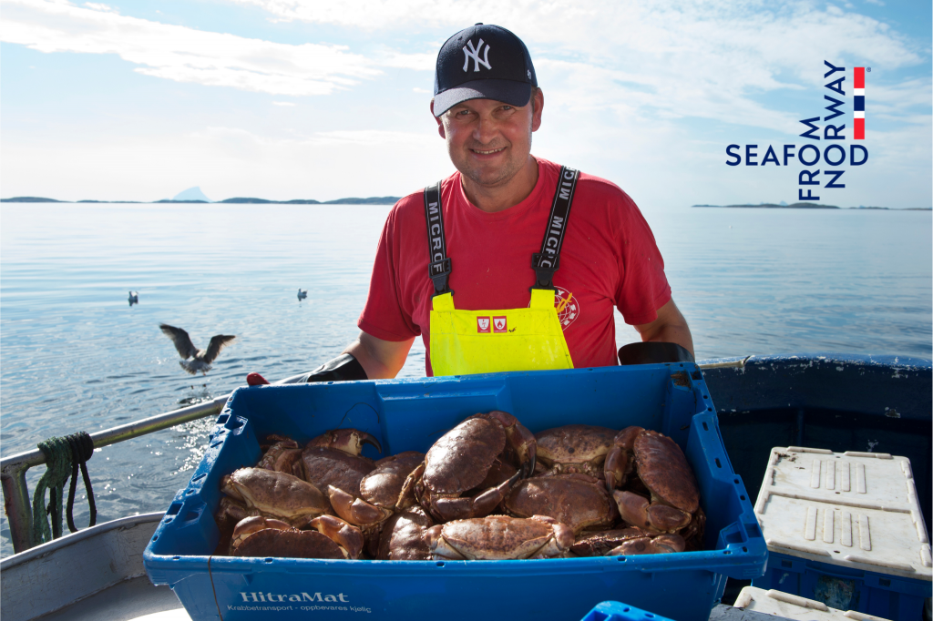 Sức hấp dẫn không thể chối từ của loài cua không ngủ ở Na Uy