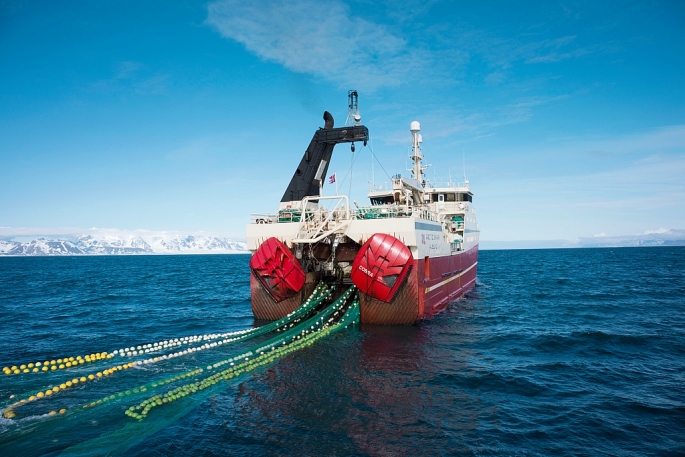 Loài tôm độc đáo của Na Uy: Món ngon sang trọng trên bàn tiệc Giáng sinh