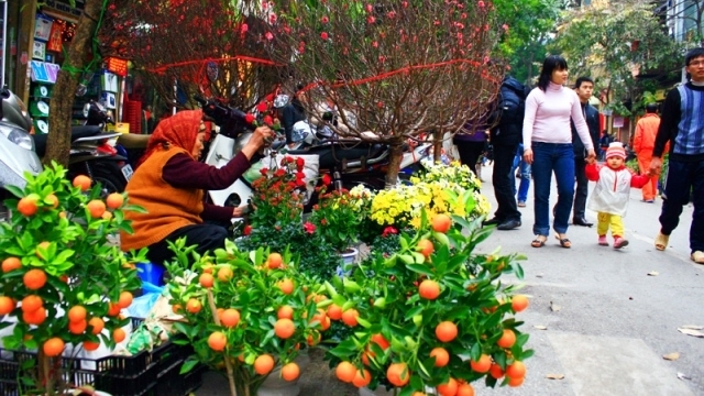 Hà Nội tổ chức 91 điểm chợ hoa xuân phục vụ Tết Nguyên đán