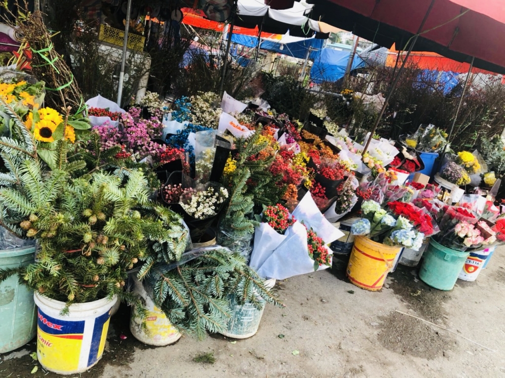 Thị trường hoa Tết tại Hà Nội bắt đầu sôi động