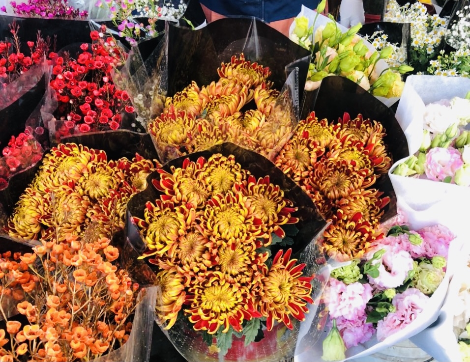 Thị trường hoa Tết tại Hà Nội bắt đầu sôi động