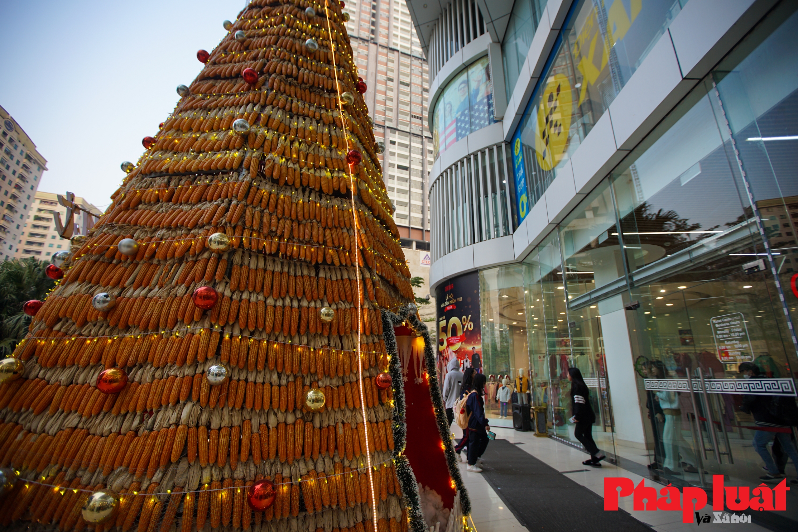 Độc đáo cây thông làm từ gần 10.000 bắp ngô tại Hà Nội