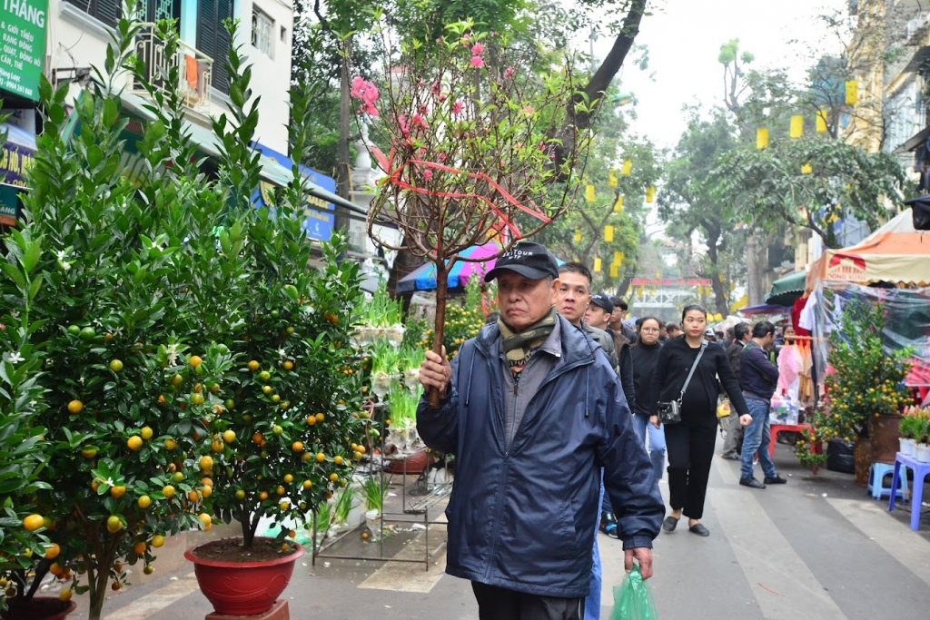 Tết Việt về trên phố