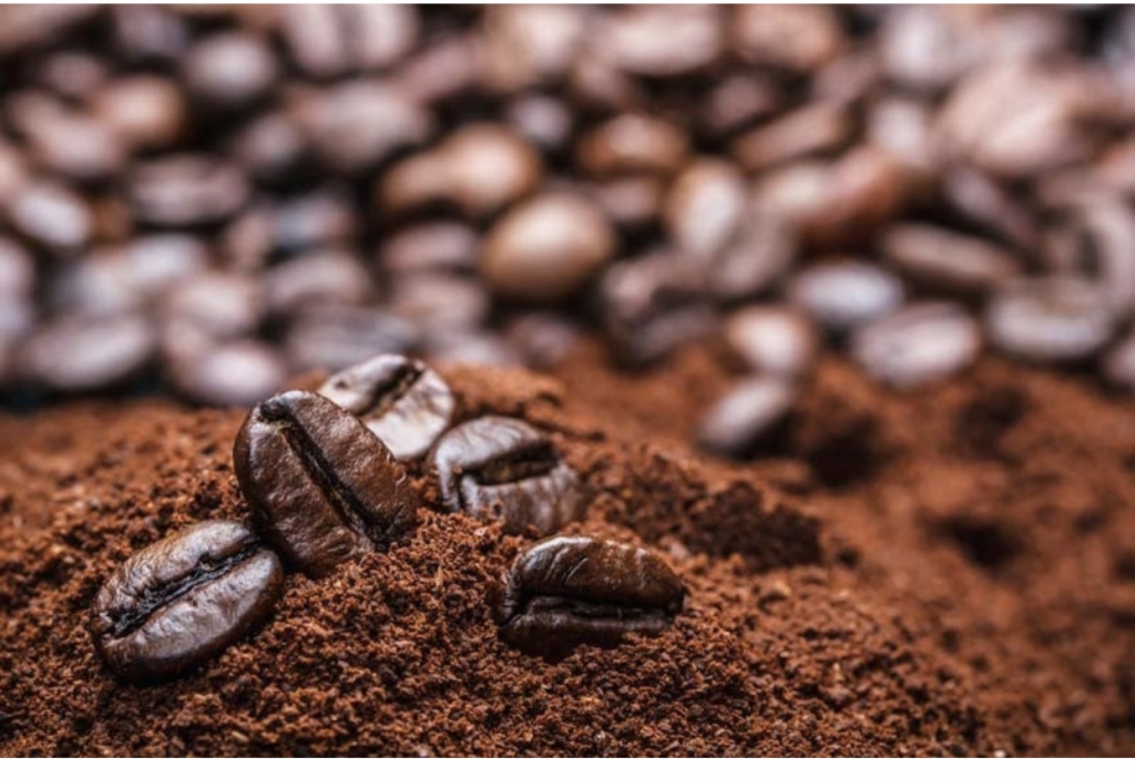 Giá cà phê hôm nay 8/1: Trong nước giảm 100 đồng/kg, cà phê thế giới tiếp tục suy yếu