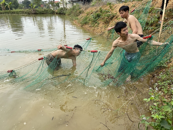 Thường công việc kéo lưới bắt cá sẽ được người dân thực hiện vào ngày 28-29 Tết.